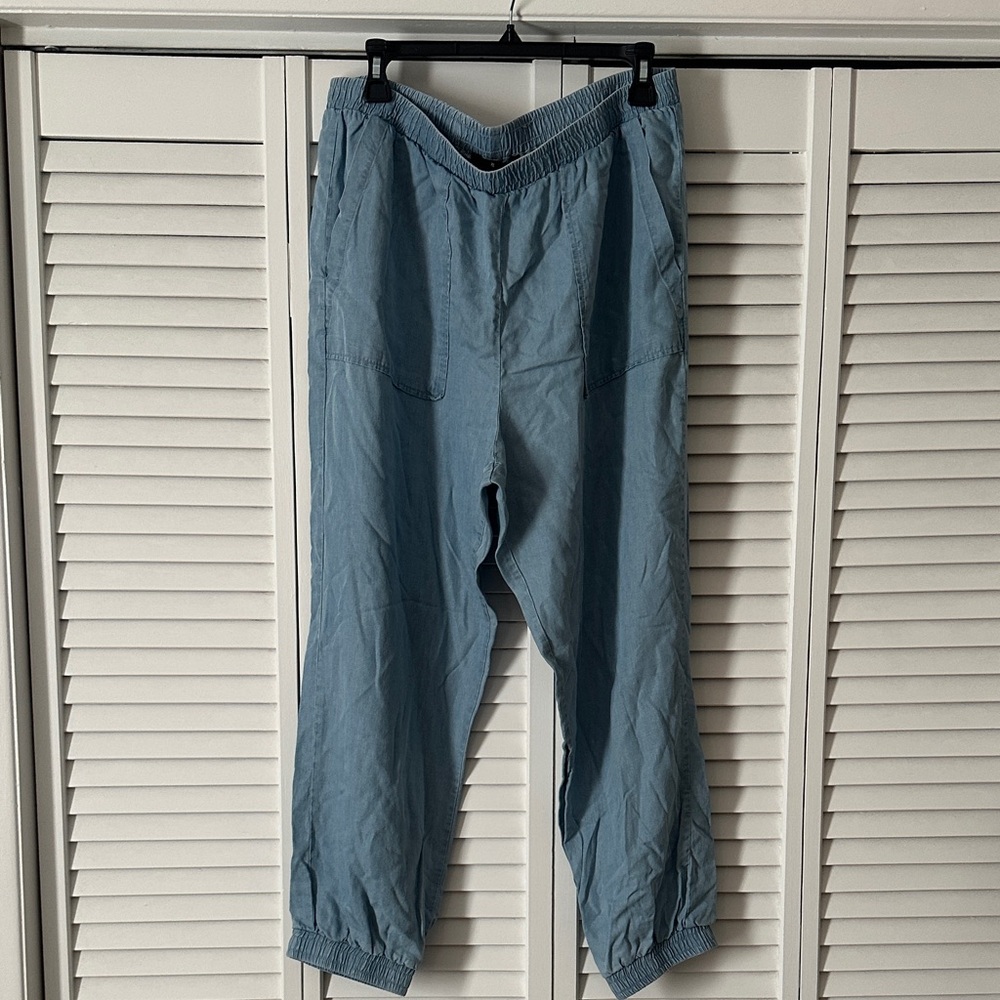 Zac & Rachel Women’s Light Blue Pants